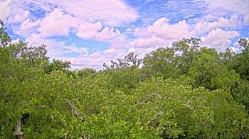 Weather camera view of Metairie Club Gardens.