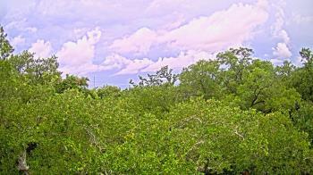 Weather camera view of Metairie Club Gardens.