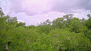 Weather camera view of Metairie Club Gardens.