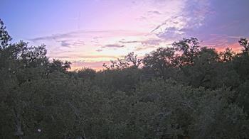 Weather camera view of Metairie Club Gardens.