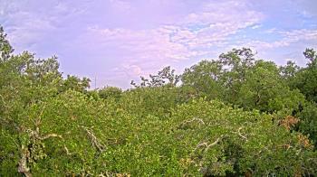 Weather camera view of Metairie Club Gardens.