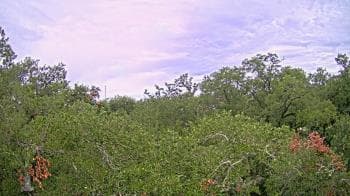 Weather camera view of Metairie Club Gardens.
