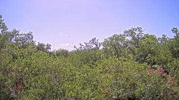 Weather camera view of Metairie Club Gardens.