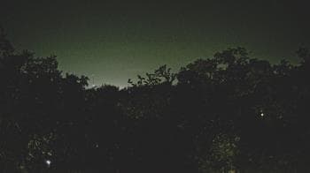 Weather camera view of Metairie Club Gardens.