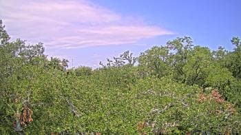 Weather camera view of Metairie Club Gardens.