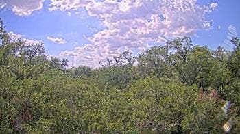 Weather camera view of Metairie Club Gardens.