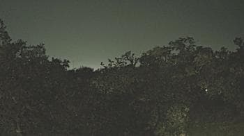 Weather camera view of Metairie Club Gardens.