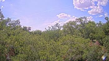 Weather camera view of Metairie Club Gardens.