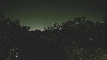 Weather camera view of Metairie Club Gardens.