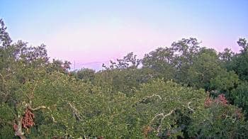 Weather camera view of Metairie Club Gardens.