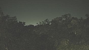 Weather camera view of Metairie Club Gardens.