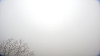 Weather camera view of WHTM Marysville Blue Mtn 1000 ft elev.