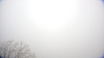 Weather camera view of WHTM Marysville Blue Mtn 1000 ft elev.