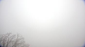 Weather camera view of WHTM Marysville Blue Mtn 1000 ft elev.