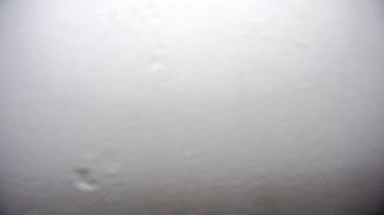 Weather camera view of WHTM Marysville Blue Mtn 1000 ft elev.