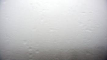 Weather camera view of WHTM Marysville Blue Mtn 1000 ft elev.