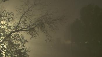 Weather camera view of Camp Sweeney.