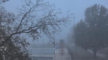 Weather camera view of Camp Sweeney.