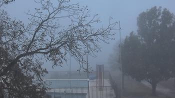 Weather camera view of Camp Sweeney.