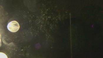 Weather camera view of Camp Sweeney.