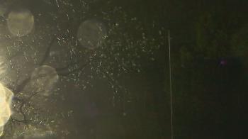 Weather camera view of Camp Sweeney.