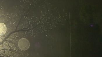 Weather camera view of Camp Sweeney.