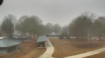 Weather camera view of Camp Twin Lakes - Will-a-Way.