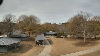 Weather camera view of Camp Twin Lakes - Will-a-Way.