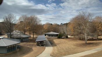 Weather camera view of Camp Twin Lakes - Will-a-Way.