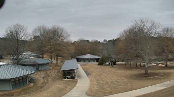Weather camera view of Camp Twin Lakes - Will-a-Way.