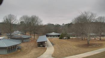 Weather camera view of Camp Twin Lakes - Will-a-Way.