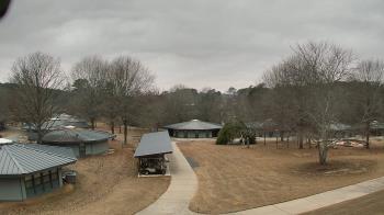Weather camera view of Camp Twin Lakes - Will-a-Way.