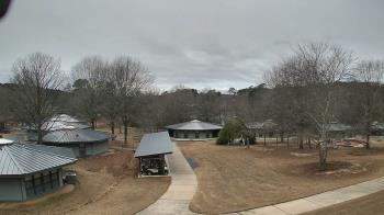 Weather camera view of Camp Twin Lakes - Will-a-Way.