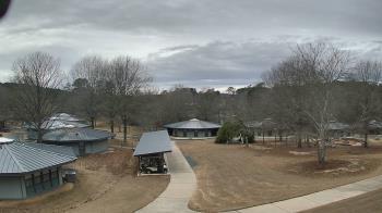 Weather camera view of Camp Twin Lakes - Will-a-Way.