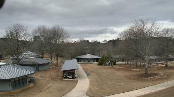 Weather camera view of Camp Twin Lakes - Will-a-Way.