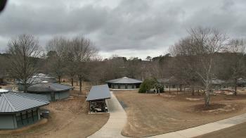Weather camera view of Camp Twin Lakes - Will-a-Way.