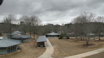 Weather camera view of Camp Twin Lakes - Will-a-Way.