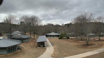 Weather camera view of Camp Twin Lakes - Will-a-Way.