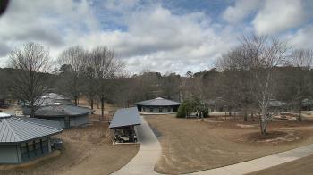 Weather camera view of Camp Twin Lakes - Will-a-Way.