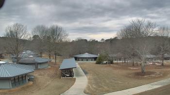 Weather camera view of Camp Twin Lakes - Will-a-Way.