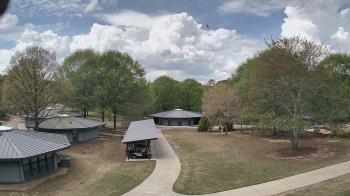 Weather camera view of Camp Twin Lakes - Will-a-Way.