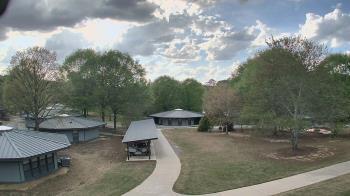 Weather camera view of Camp Twin Lakes - Will-a-Way.