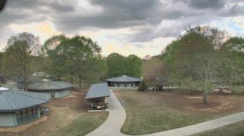 Weather camera view of Camp Twin Lakes - Will-a-Way.