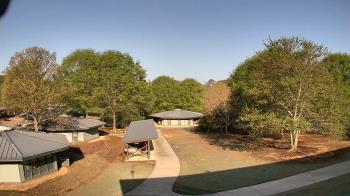 Weather camera view of Camp Twin Lakes - Will-a-Way.