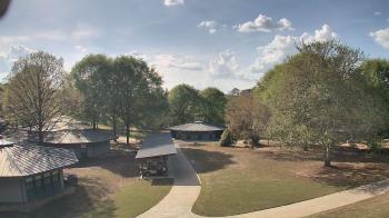 Weather camera view of Camp Twin Lakes - Will-a-Way.