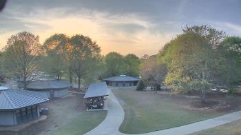 Weather camera view of Camp Twin Lakes - Will-a-Way.