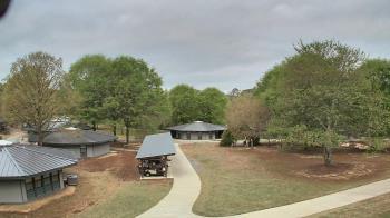 Weather camera view of Camp Twin Lakes - Will-a-Way.