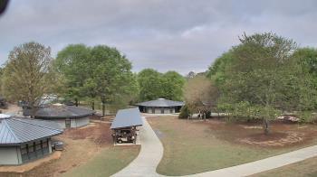 Weather camera view of Camp Twin Lakes - Will-a-Way.