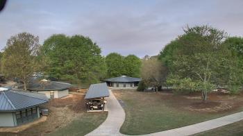 Weather camera view of Camp Twin Lakes - Will-a-Way.