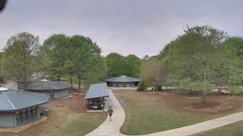 Weather camera view of Camp Twin Lakes - Will-a-Way.